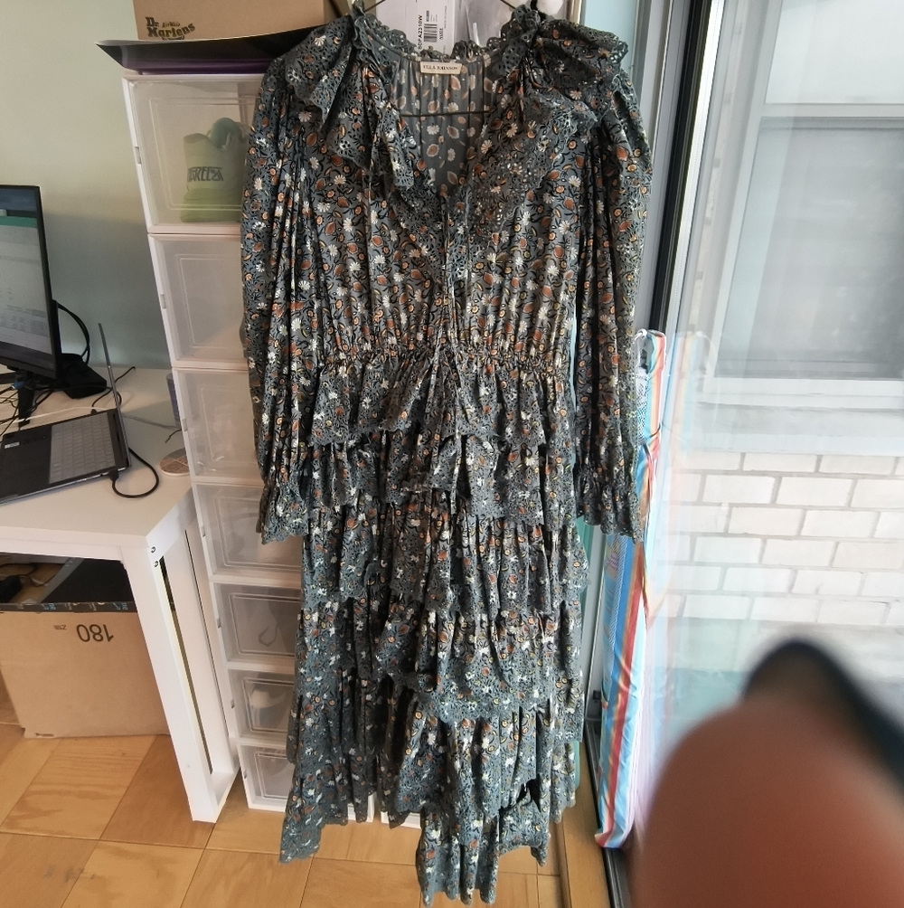 Ulla Johnson Odile raffled Floral broderie anglaise cotton Poplin midi dress 8 - Picture 5 of 12